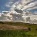 Cambria and San Simeon homes for sale near Fiscalini Ranch.